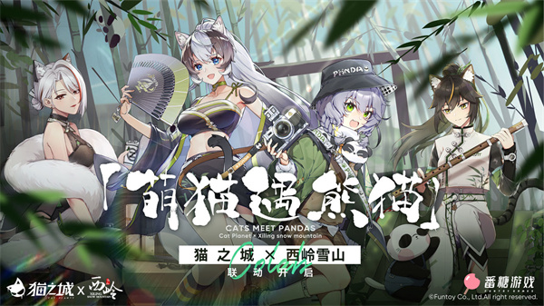 猫之城正版
