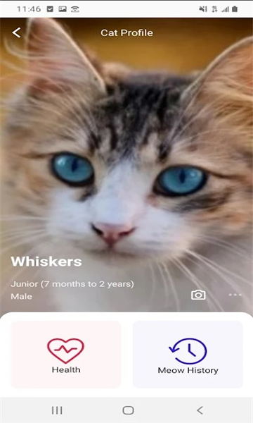 meowtalk喵说安卓版