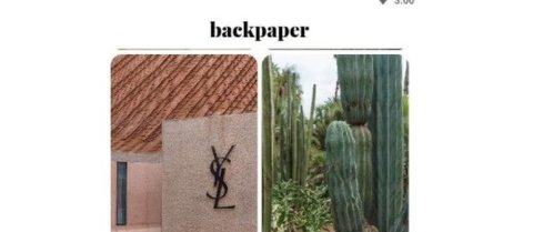 backpaper壁纸