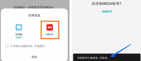 MEGA