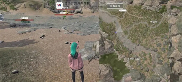 幼兽帕帕