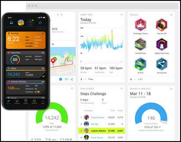 Garmin Connect