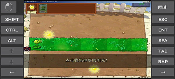 植物大战僵尸95版正版
