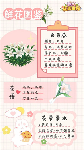 我的花园世界正版