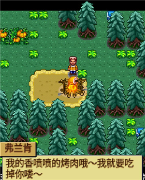 宠物王国4白金