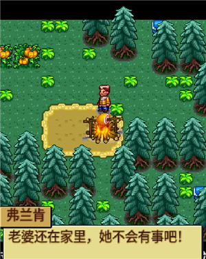 宠物王国4白金