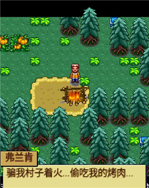 宠物王国4白金