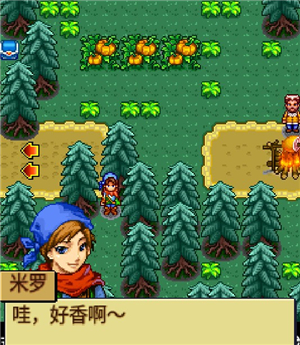宠物王国4白金
