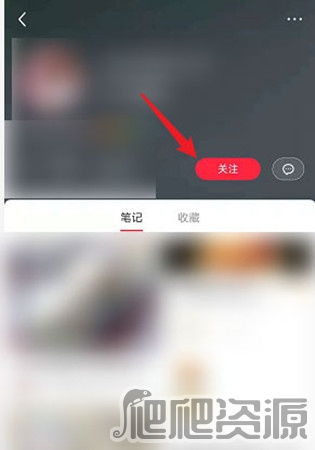 小红书国际版