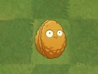 pvz2