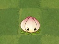 pvz2