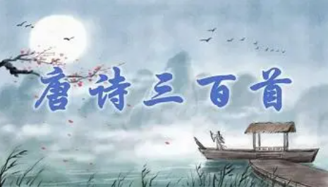 1728876871606604.png